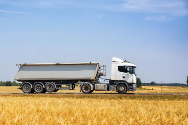 Перевезення зерна: що важливо знати замовнику?